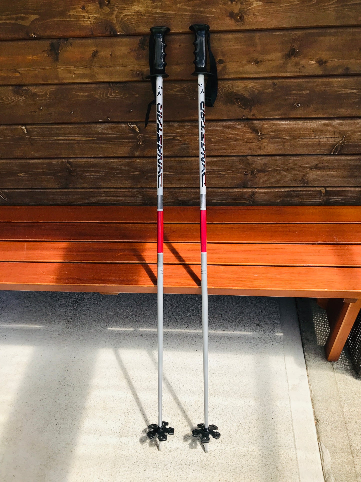 Ski Poles Adult Size 48in 120cm Dynastar Grey Black Red