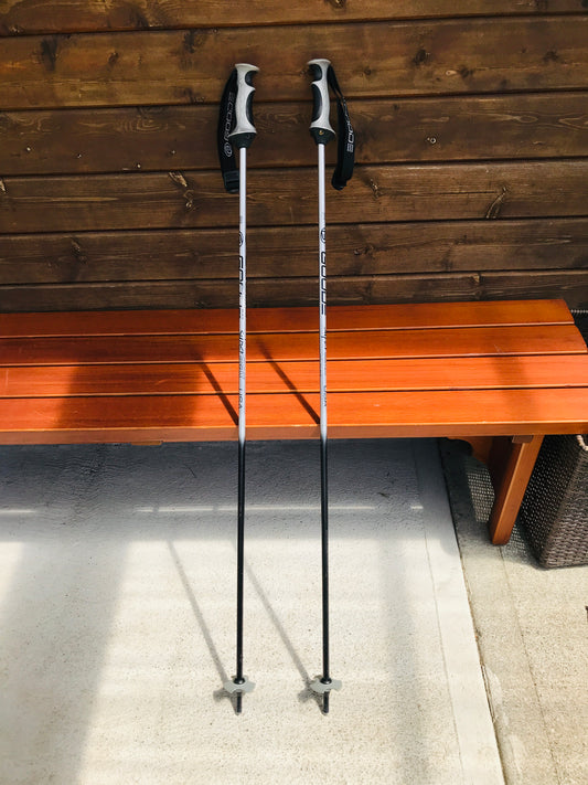 Ski Poles Adult Size 48in 120cm Goode USA Grey Black