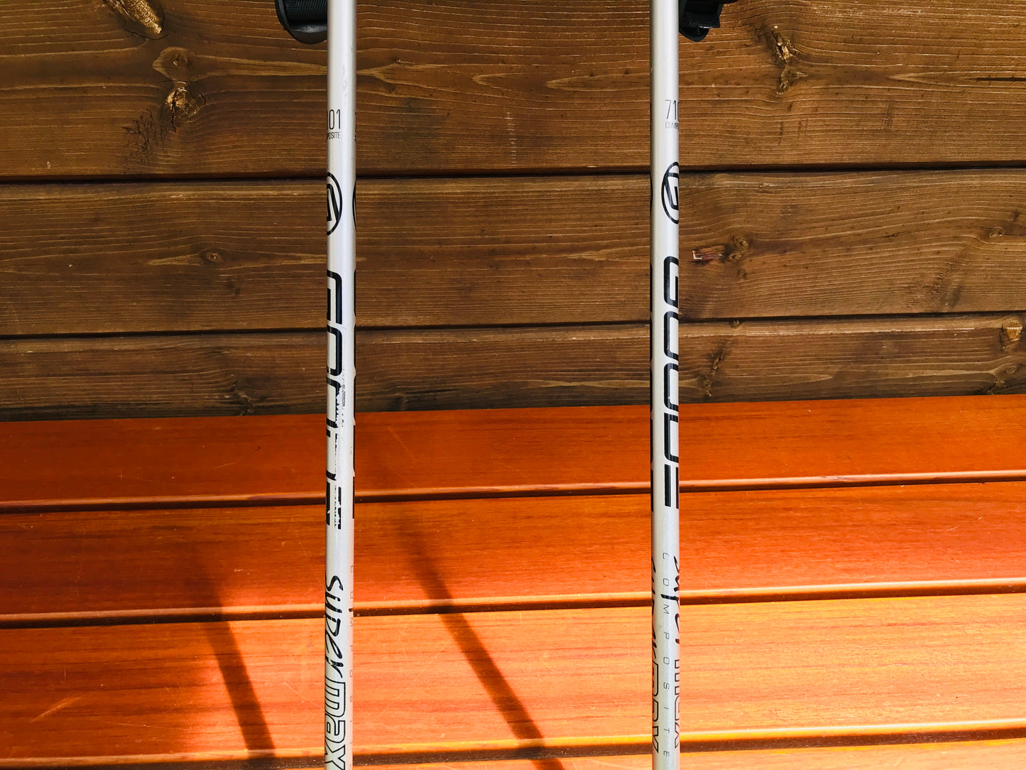 Ski Poles Adult Size 48in 120cm Goode USA Grey Black