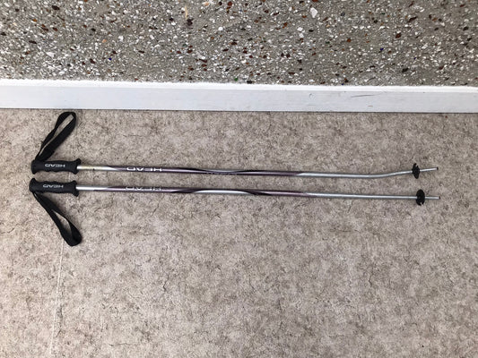 Ski Poles Adult Size 48 inch 120cm Head Cyber Rubber Handle Grey Minor Wear