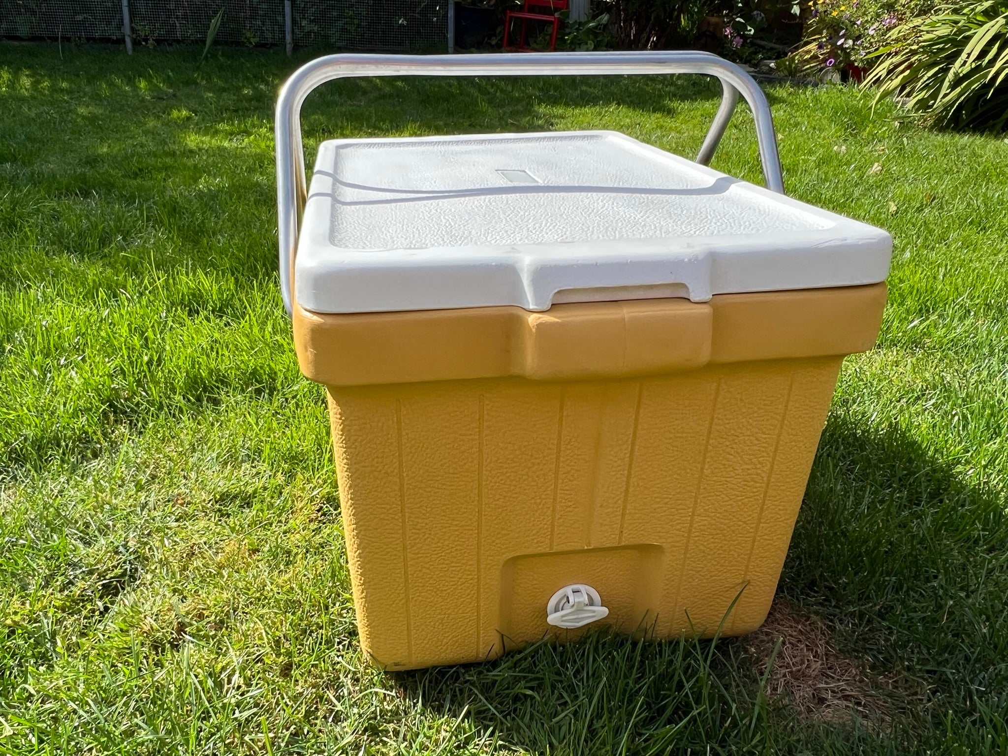 1970s clearance coleman cooler