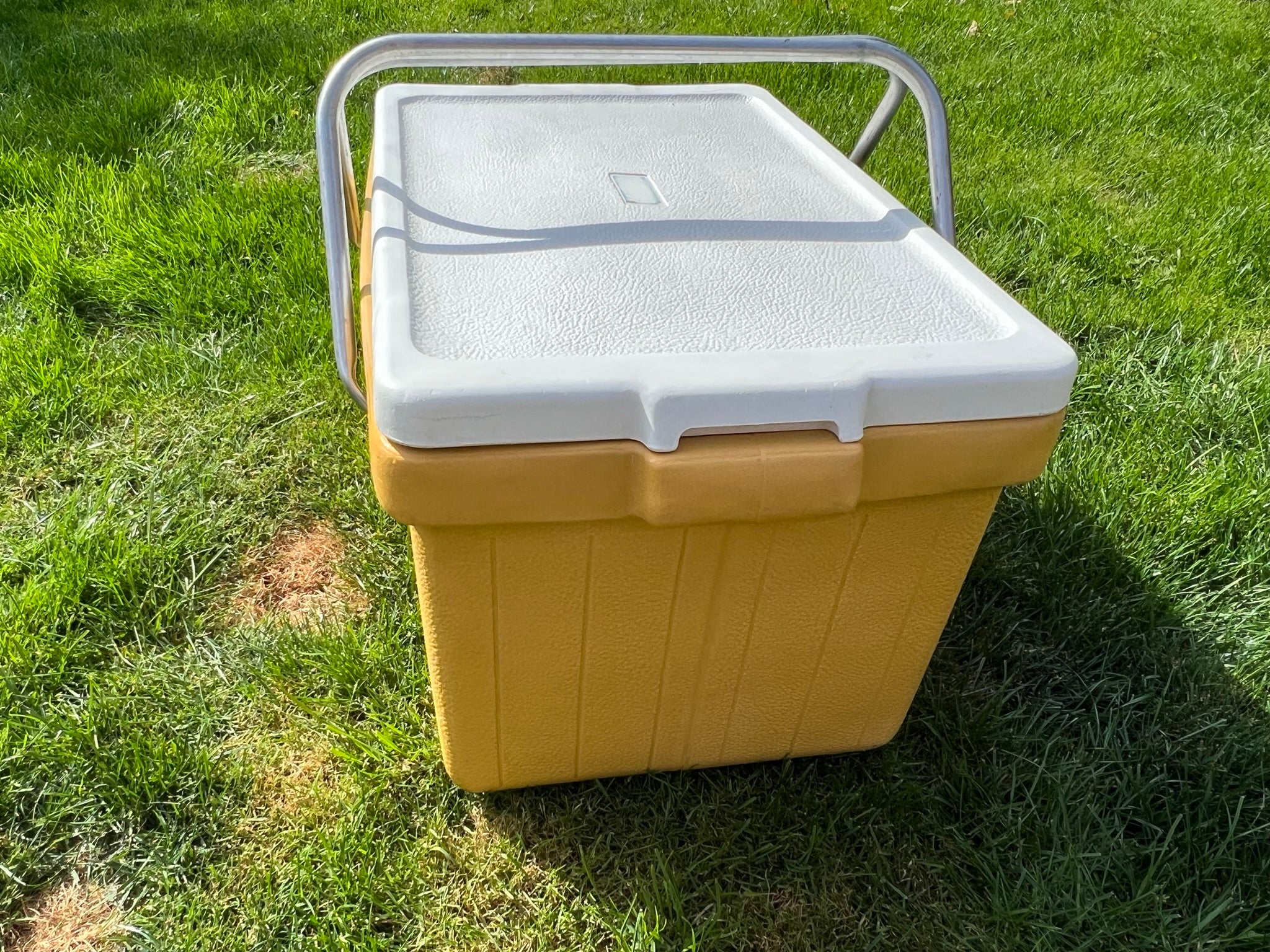 1970s best sale coleman cooler