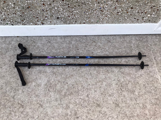 Ski Poles Adult 46 inch Kastle Black Purple