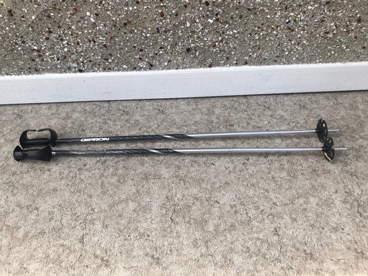 Ski Poles Adult Size 48 inch Gipron Grey